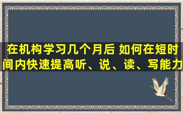 在机构学习几个月后 如何在短时间内快速提高听、说、读、写能力？